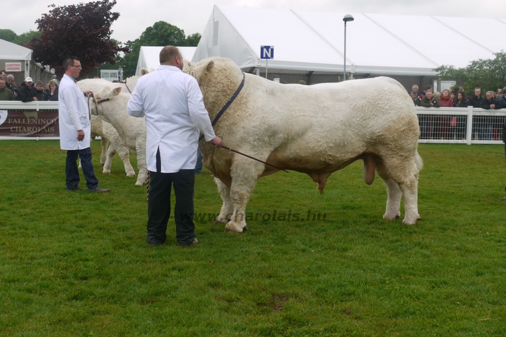 WCC Nagy-Britannia 2012 - DZ